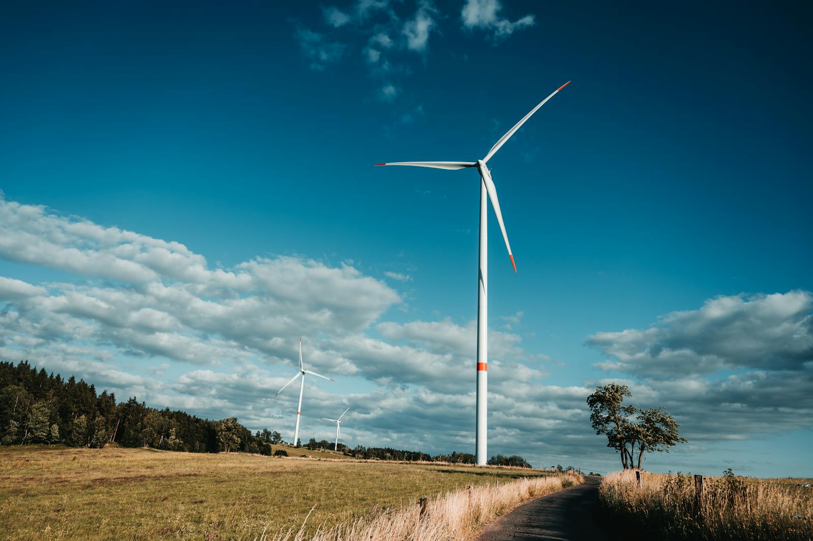 A picturesque scene of wind turbines in a grassy field under a clear blue sky.